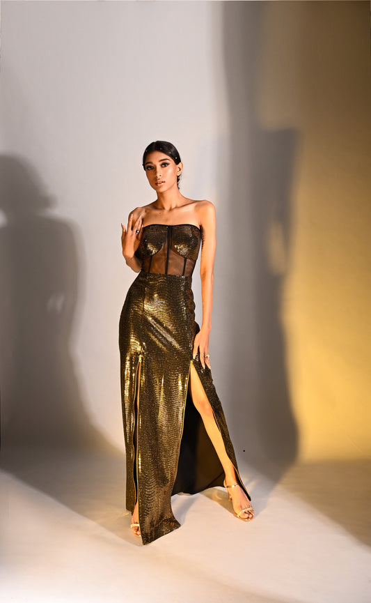 Metallic Mesh Gown 2.0